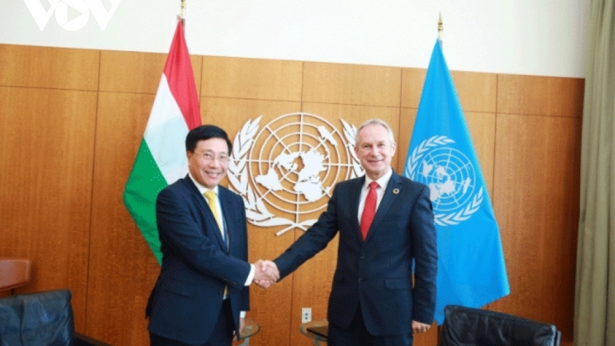 UNGA president hails Vietnam’s SDG efforts
